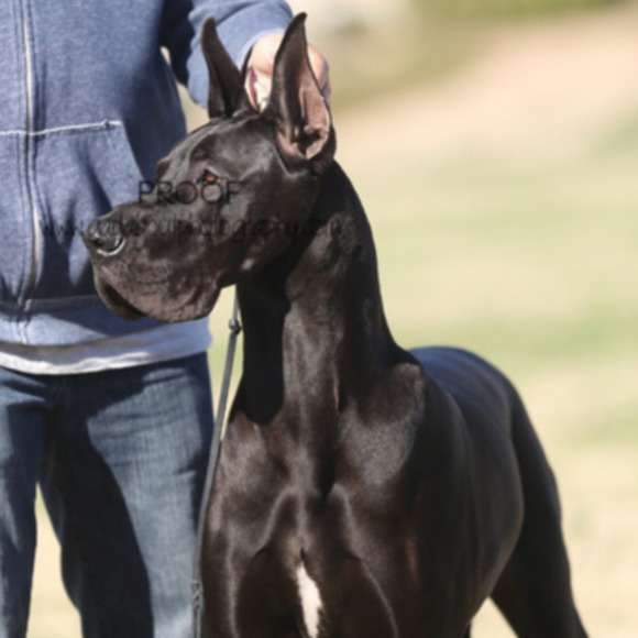 Meet your Posher, Maren - Picture 1 of 1